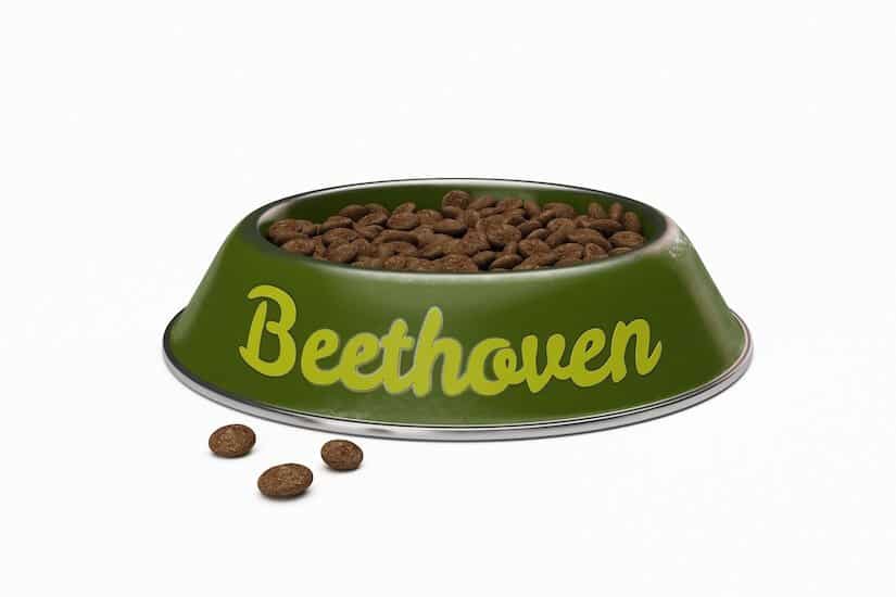 Ausgefallener Hundename Beethoven