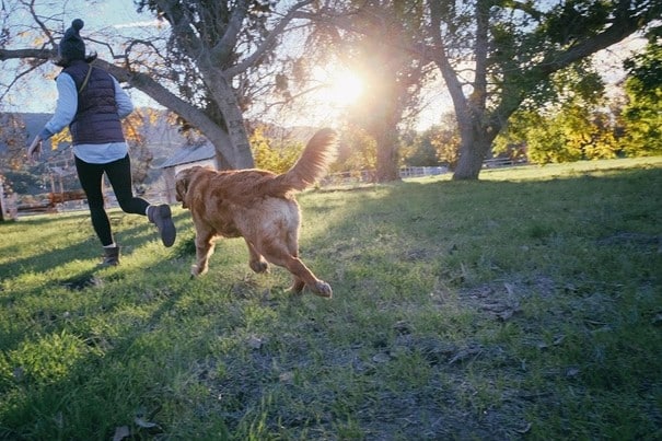 Gemeinsame (sportliche) Aktivitäten halten nicht nur fit, sondern schaffen auch Vertrauen und stärken die Hund-Mensch-Bindung.