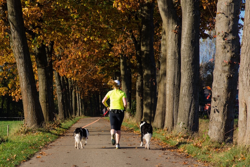 Frau mit zwei Hunden an einer Joggingleine für Hunde