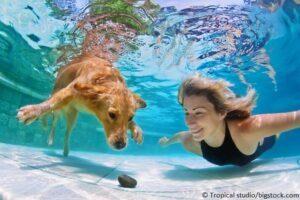 Hund schwimmt mit Herrchen
