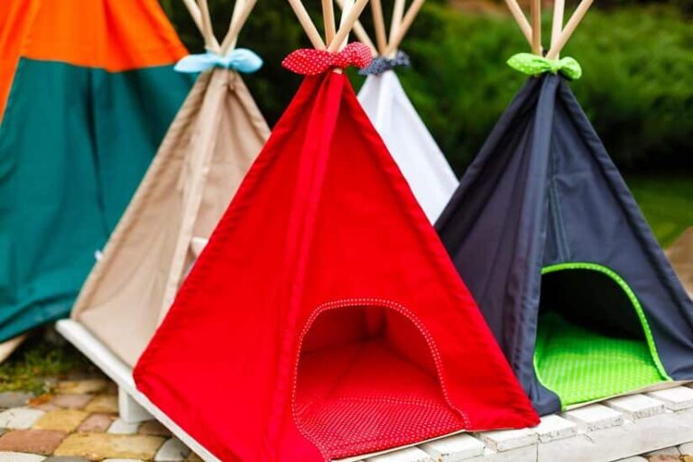 Hunde Tipi: Das sollten Sie wissen