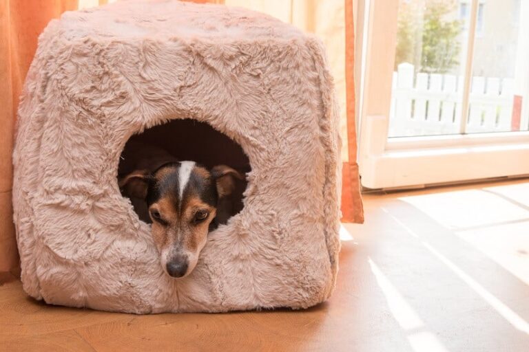 Hundehöhle