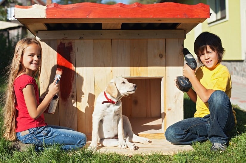 Eine isolierte Hundehütte kann man auch selbst bauen