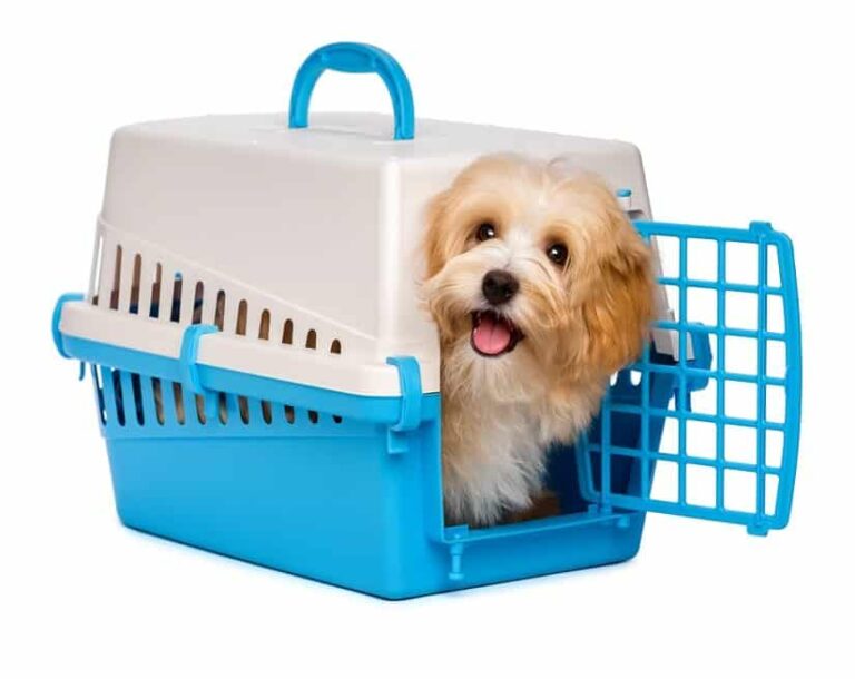 Hundekennel