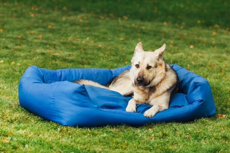 Hundekissen XXL
