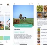 Hundeo, die Hunde-App, ein Must-Have?