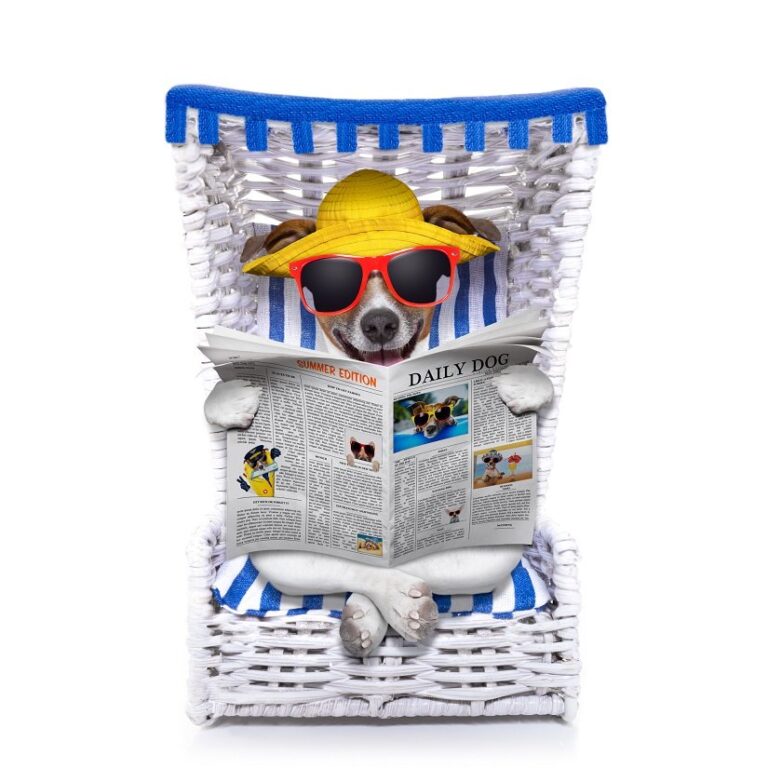 Hundestrandkorb