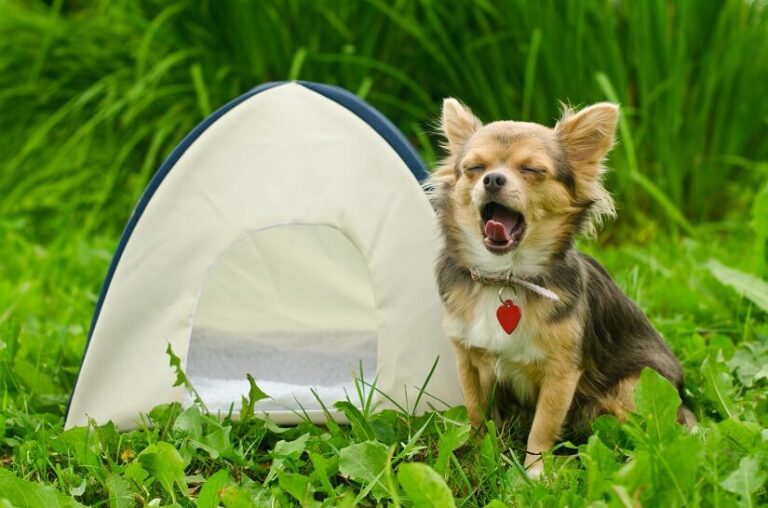 Hundezelt