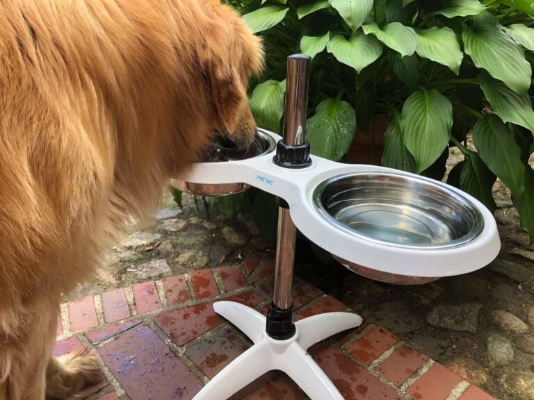 Hundebar