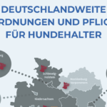 Verordnungen und Pflichten für Hundehalter in Deutschland
