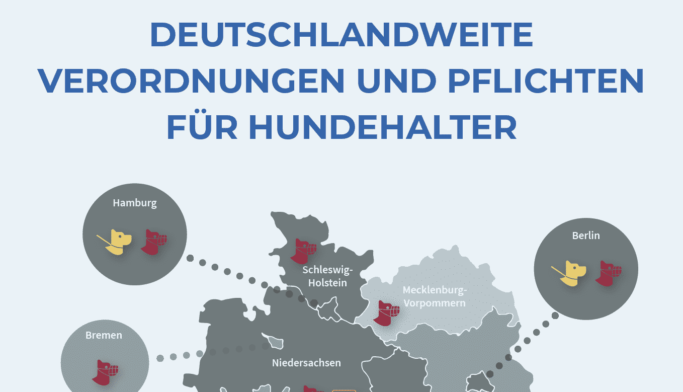 Verordnungen und Pflichten für Hundehalter in Deutschland