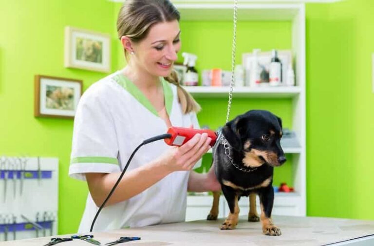 Hundeschermaschine