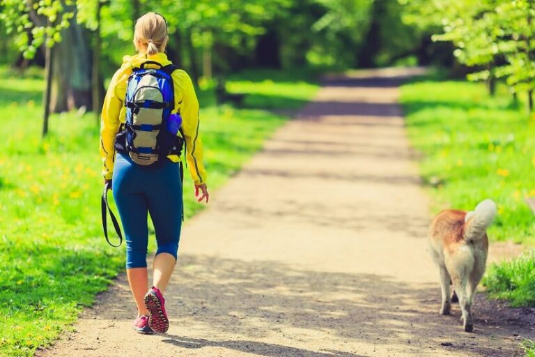 Der Spaziergang mit dem Hund – Das Wichtigste zusammengefasst