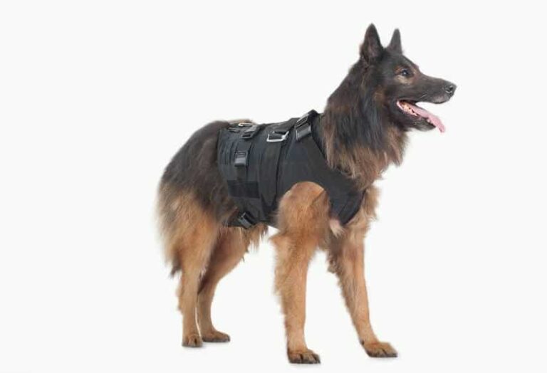 Thundershirt