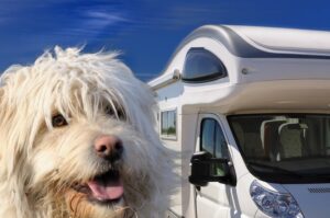 Wohnmobil mieten mit Hund