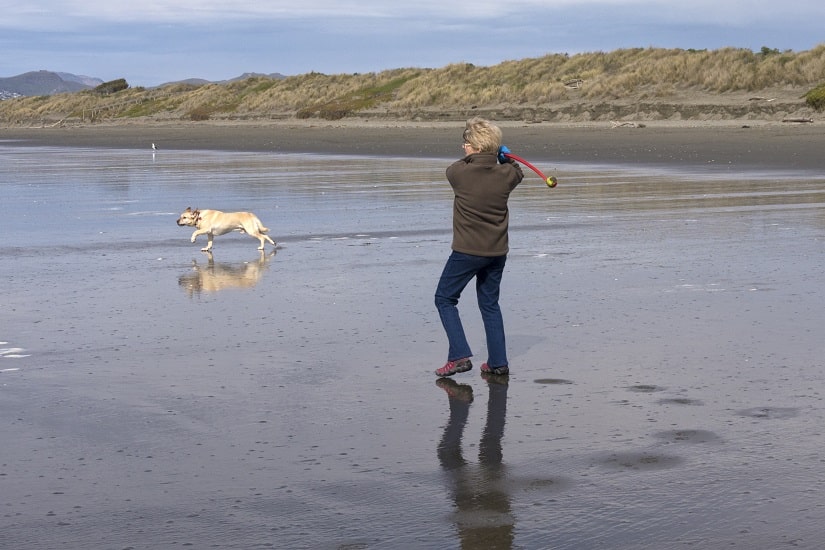Eine Frau spielt mit Ihrem Hund am Meer. Sie hält eine Ballschleuder in der Hand und ist gerade dabei damit einen Ball für den Hund zu werfen.