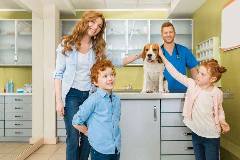 Basenpulver für Hunde