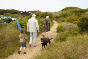 Dänemarkurlaub mit Hund: Die 10 beliebtesten Regionen
