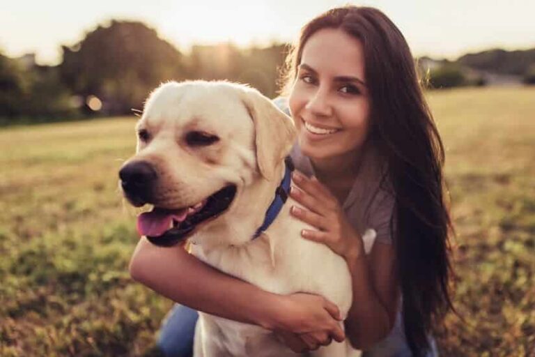 Einen Hund beruhigen