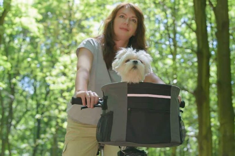 Fahrrad Hundekorb