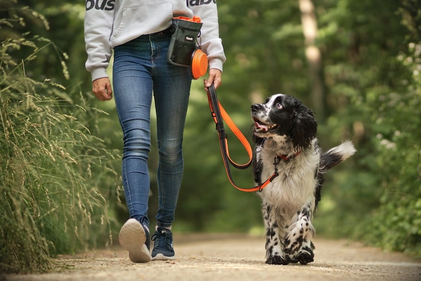 Eine Frau geht mit ihrem Hund spazieren und trägt dabei eine schicke Gassitasche