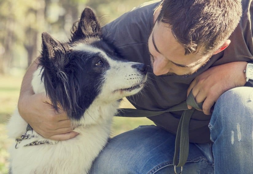 Hunde, die ein neues Zuhause kennenlernen, brauchen vor allem Liebe und Beständigkeit. 