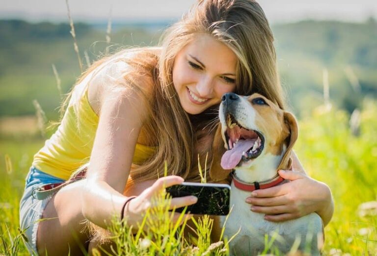 Die Hundekamera