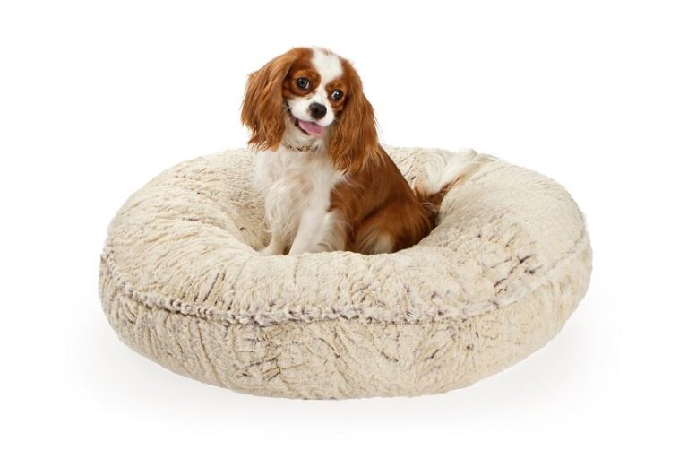Das ovale Hundekissen