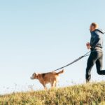 Jogginggurt für den Hund