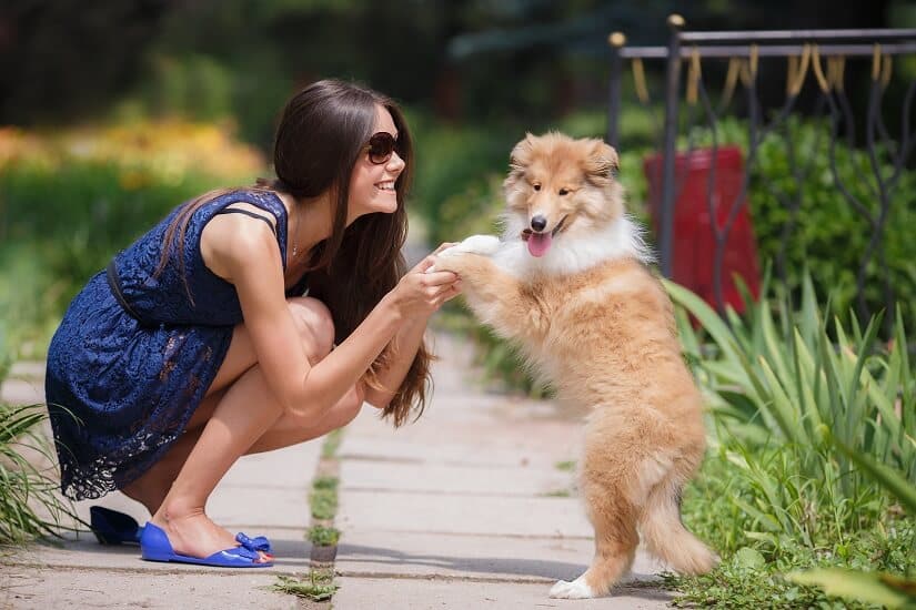 junge Frau spielt mit einem Hund