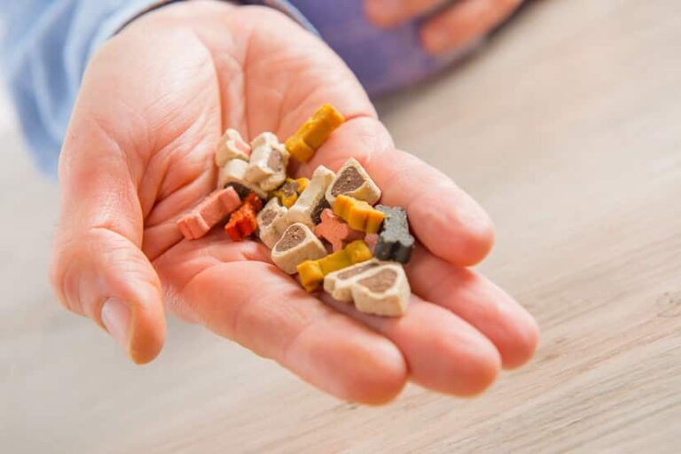 Leckerlibeutel – ohne wäre man aufgeschmissen