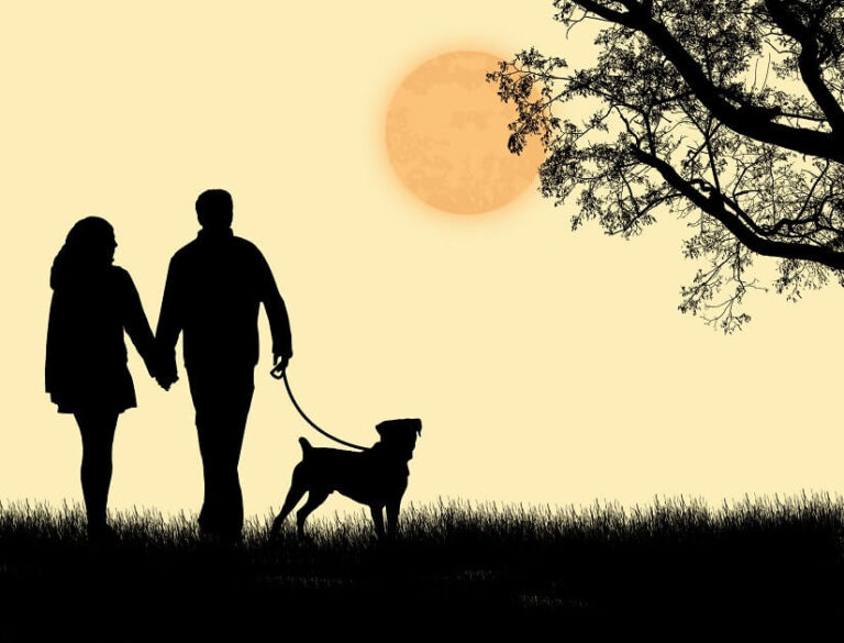 Spazieren mit Hund im Dunklen – ein paar Tipps