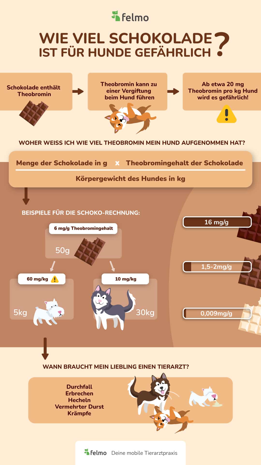 Infografik: Wie viel Schokolade ist für Hunde gefährlich?