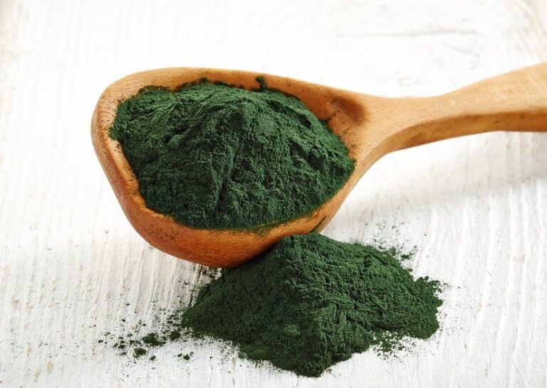 Spirulina für den Hund