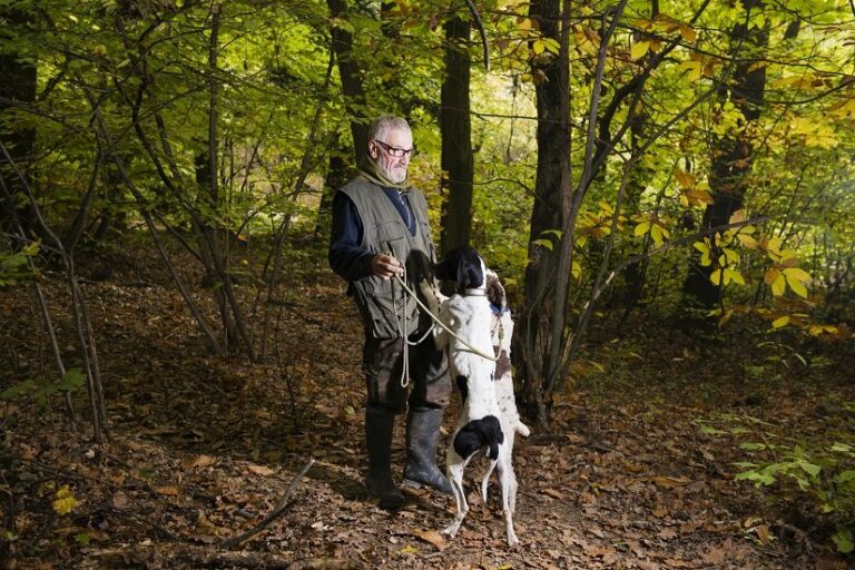 Trüffelhund