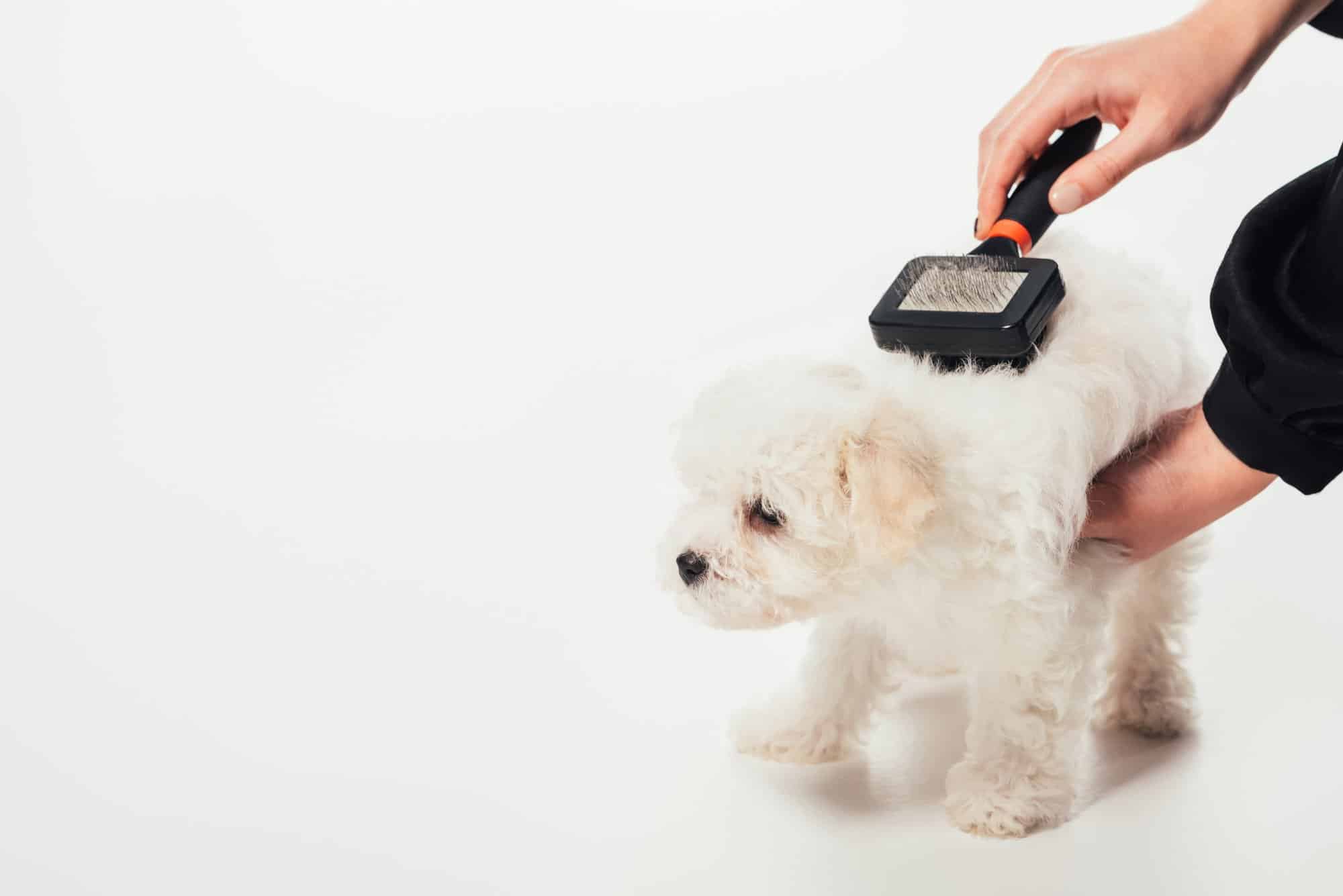 Unterfellbürste für den Hund