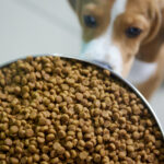 Beneful Hundefutter Test