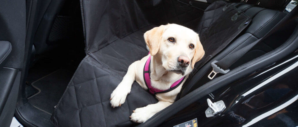Hundetransport im Auto auf der Rückbank - Floxik Premium Hundeprodukte
