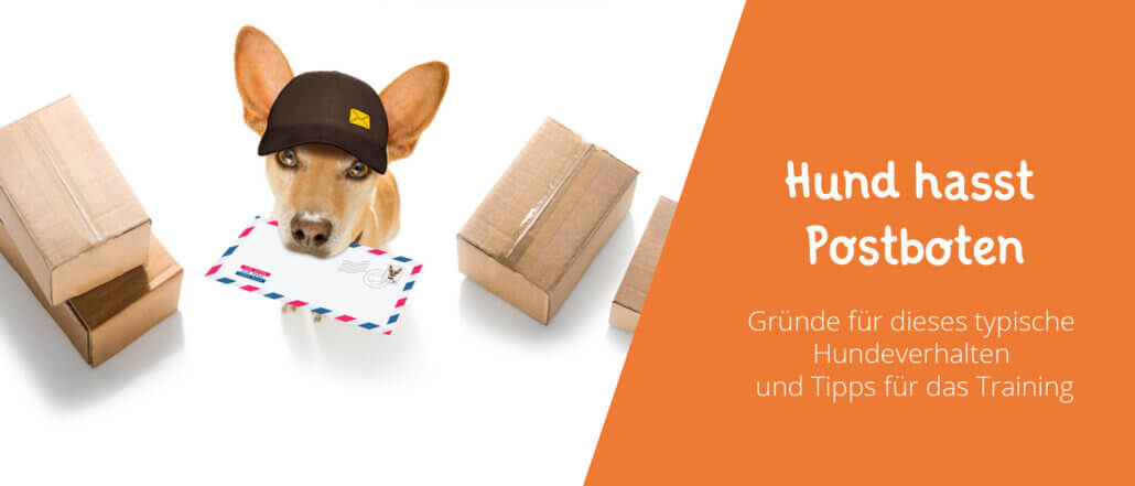 Hund hasst Postboten