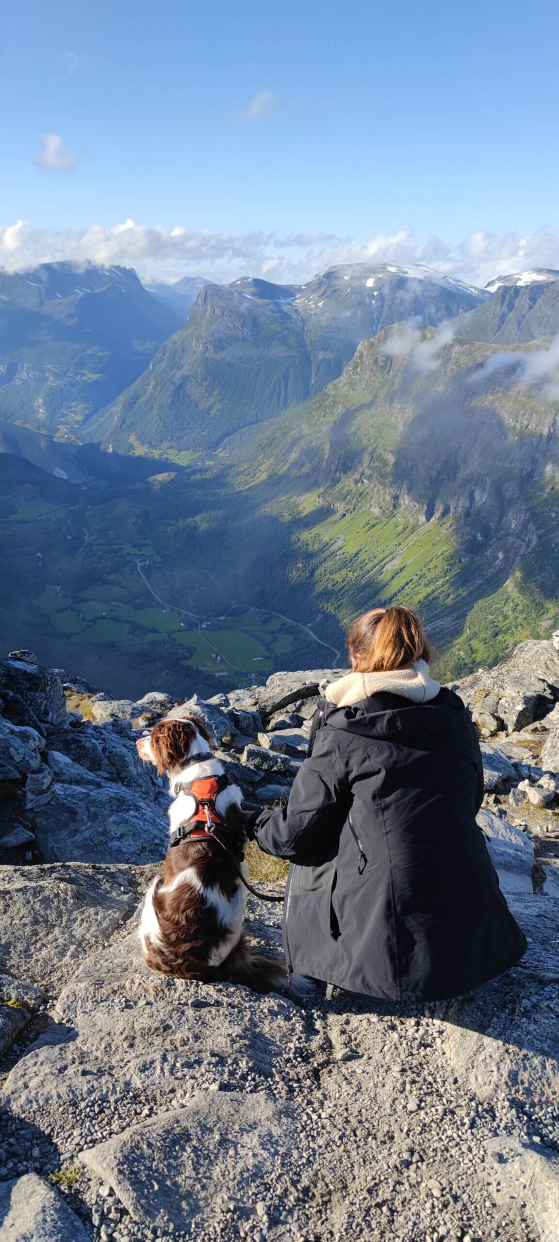 Urlaub mit Hund in Norwegen Tipps Reiseziele